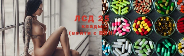 PSILOCYBIN Михайлов