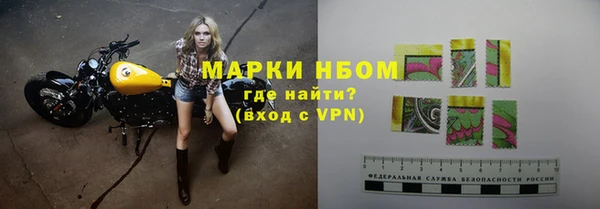 эйфоретик Аша