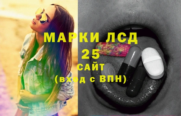 PSILOCYBIN Михайлов