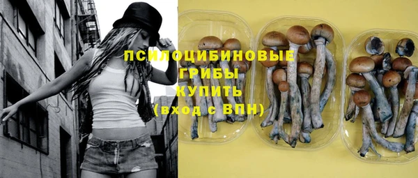 PSILOCYBIN Михайлов