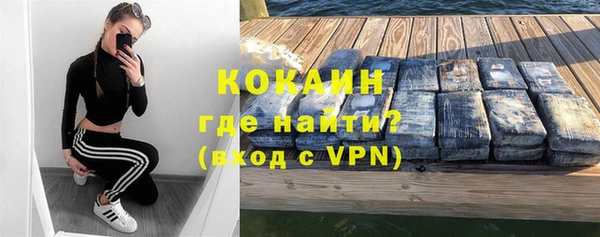 PSILOCYBIN Михайлов