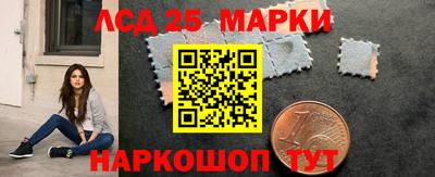ешки Гай