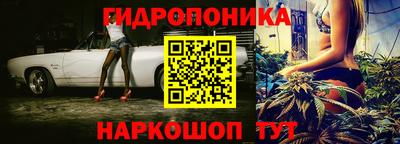 МДПВ Гагарин