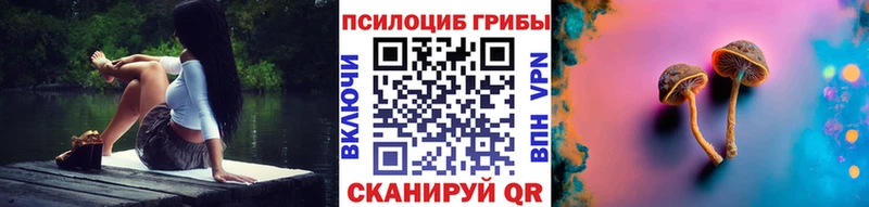 это телеграм  Тула  Галлюциногенные грибы мицелий  купить  сайты 